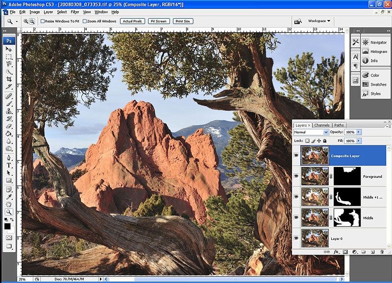 Meekoceras+gracilitatis