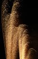 20090702_210148_web.jpg
