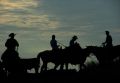 20100731_065846_web.jpg