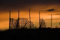 DSC_7522_Old_snow_fence.jpg