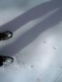 0101_Shadow_Hike.jpg