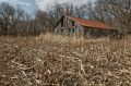 DSC_6173b_sm.jpg